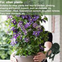 Orchid Clips For Plants Support, Plant Clips For Climbing Plants, Plant Climbing Vine Wall Clips, Plant Clips For Support, Plant Climbing Support For Orchids Vine Clip Support