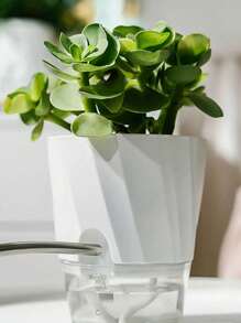 Self Watering Planter Set With Automatic Water Absorption For Potted Plants, Transparent Hydroponic Container, Slouchy Person Planter