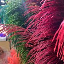Natural Colored Reeds, Multicolor Options, Suitable For Wedding Decor, Home Decor, Wreath Making - 100% Natural & Materials,Fall Decor,Autumn