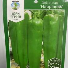 Big Sili Panigang Green Chilli Vegetable Seeds Planting - 100 hạt giống - Xem 8
