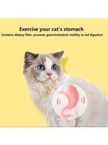1 paquete de juguetes con hierba gatera para gatos, palos de hierba gatera, juguetes para masticar para la limpieza dental de gatos, golosina para gatos y gatitos, juguete dental para gatos