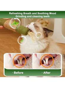 1 paquete de juguetes con hierba gatera para gatos, palos de hierba gatera, juguetes para masticar para la limpieza dental de gatos, golosina para gatos y gatitos, juguete dental para gatos