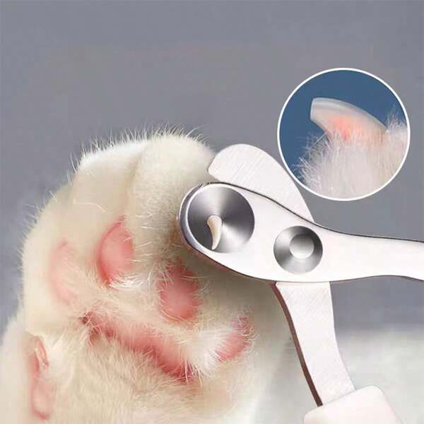 Professionelle Katzenkrallenschneider mit Schutz, rundem Loch und Anti-Blutung - perfekt für Katzen aller Größen und Rassen