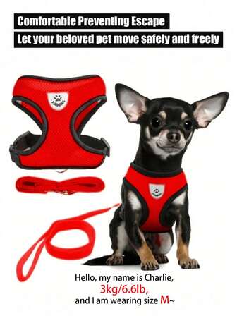 Pet At & Dog Leash With Anti Escape Adjustable Chest And Back Strap, Reflective Rope And Collar Set, Soft Breathable Mesh Material,Adjustable For Small/Medium Dogs & Cats,Cat Harness,Cat Harness And Leash,Dog Harness For Small Dogs,Heavy Duty Dog Harness