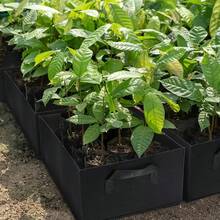 1pc Heavy Duty Grow Bags - Reinforced Non-Woven Fabric Planting Pots With Handles For Vegetables, Fruits & Flowers | Extra Thick Aeration Fabric Pots For Indoor/Outdoor Gardening, Root Control & Reusable Plant Containers (Large, Square, Rectangle, 5 Sizes) - Multicolor - View 16