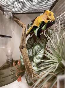 Reptile Plants For Terrariums, Amphibian Habitat Decorations, Artificial Hanging Plants With Suction Cups, Artificial Plants For Gecko Color-Changing Dragon Snake Turtle Tank Accessories