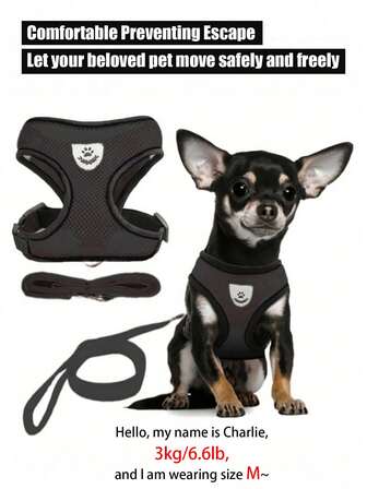 Pet At & Dog Leash With Anti Escape Adjustable Chest And Back Strap, Reflective Rope And Collar Set, Soft Breathable Mesh Material,Adjustable For Small/Medium Dogs & Cats,Cat Harness,Cat Harness And Leash,Dog Harness For Small Dogs,Heavy Duty Dog Harness