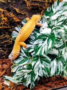 Reptile Plants For Terrariums, Amphibian Habitat Decorations, Artificial Hanging Plants With Suction Cups, Artificial Plants For Gecko Color-Changing Dragon Snake Turtle Tank Accessories