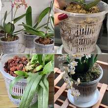 5 Pieces Orchid Pot With Saucers Mesh Pot Transparent Plastic Flower Pot With Holes Mesh Pot Orchid Flower Pot For Root Control - 5件 - 查看 6