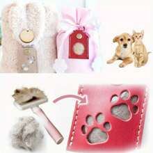 1 Pet Souvenir, Pet Hair Collection Keychain Close To Pets, Store Pet Hair Loss Filling Keychain, Fashionable Women's Accessories, Unique Pet Exclusive Keychain