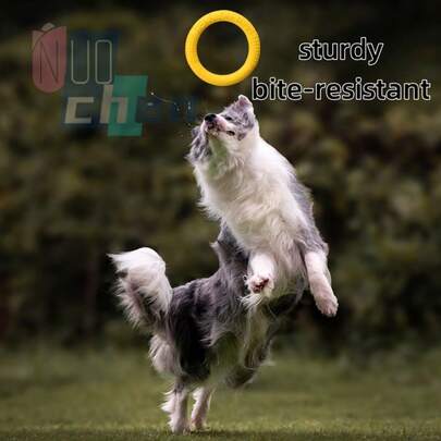 1 peça de brinquedo flutuante durável para cães, resistente a mordidas, para interação e treinamento, suprimentos para cães