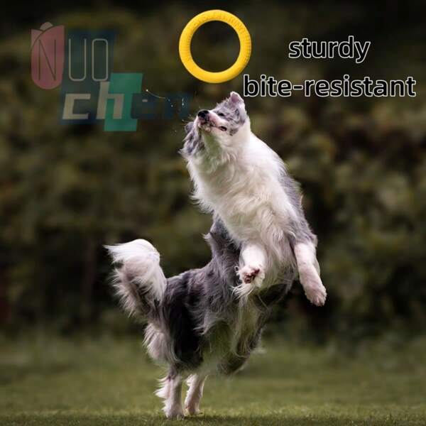 1pc Durable Floating Dog , Bite-Resistant Pet Toy For Interaction And Training, Dog Supply
