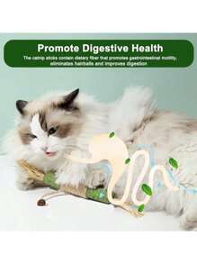 1 paquete de juguetes con hierba gatera para gatos, palos de hierba gatera, juguetes para masticar para la limpieza dental de gatos, golosina para gatos y gatitos, juguete dental para gatos