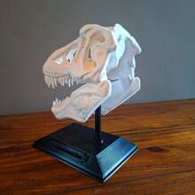 Dinosaur Head Decoration Decorative Skeleton Ornament - 白色 - 查看 3
