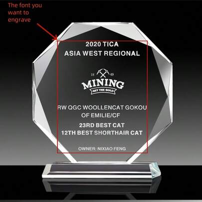 Premio de cristal con grabado láser personalizado, premio para empleados, aprecio por la jubilación, para gerentes, con grabado láser, gracias, multifuncional, ornamental, reutilizable, exquisito, elegante, de alta calidad, colorido, moderno, personalizado, único, regalos ideales para él, regalos ideales para ella, novio, papá, novia, mamá, familia, amigos, salón de té, hogar, jardín, oficina, para aniversarios, para el Día de San Valentín, para el Día de la Madre, para cumpleaños, para el Día del Padre, para graduación, para bodas, para inauguración de la casa, decoración del hogar, armonía del hogar, suministros de regalo de Navidad, decoración del hogar sala de estar, recuerdo significativo