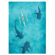 1 Pc Optional Frame Posters Wall Arts Animals Blue Watercolor Ocean Marine Organism Whale Shark Manta Rays Poster Sea Beach Surf Canvas Painting Wall Art For Room Home Decor Coastal Decor Coastal Decor Beach Decor, Wall Art With Frame