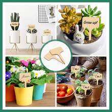 Xemussa Wooden Plant Label, 100 Plant Logo Labels With A Marker Pen, Vegetable Garden Label, Wooden T-Shaped Plant Label, Suitable For Garden Potted Plants (6x10cm) - 薑色 - 查看 3