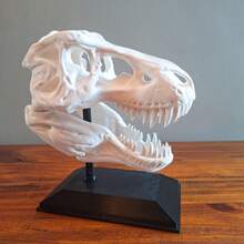 Dinosaur Head Decoration Decorative Skeleton Ornament - 白色 - 查看 4