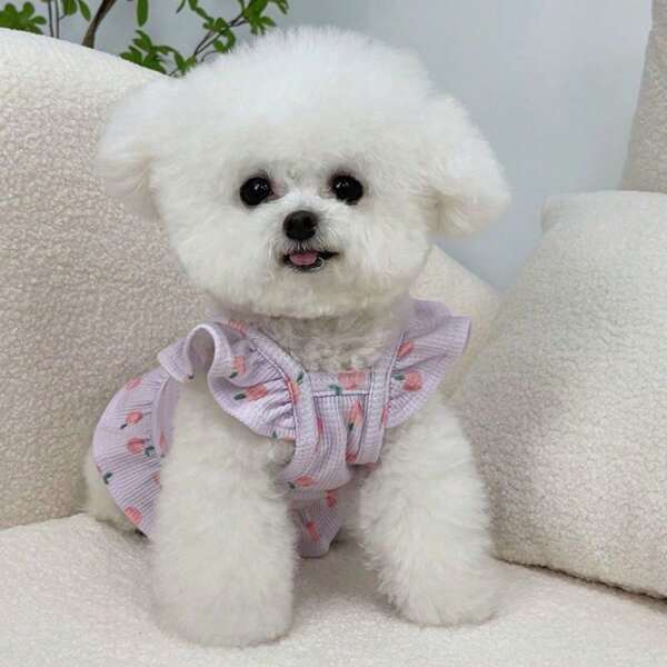 Ropa para perro Nuevo vestido de princesa de primavera/verano delgado, top de tirantes, vestido de verano para peluche, Yorkshire, perrito pequeño