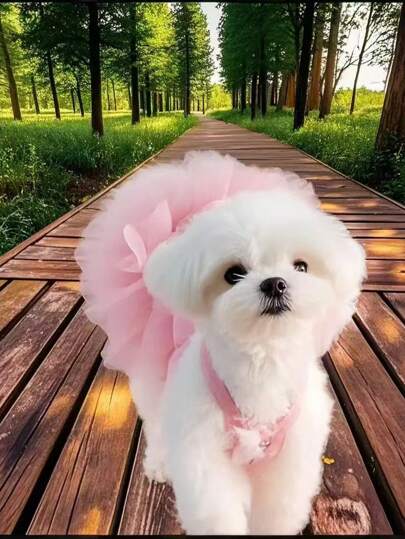 1pc Elegant Ballet Tulle Dress Pet Dog Clothes, Princess Dress Sleeveless Romantic Party Outfit, Suitable For Small Dogs, Cats, Cool Spring/Summer