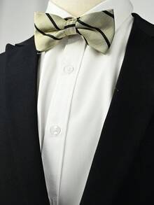1pc Men's Business Casual Striped Bow Tie - Multicolor - View 6