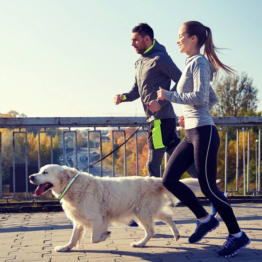 New Luminous & Reflective Nylon Dog Collar, Suitable For Medium-Large Pets, Reflective Strips For Nighttime, High Density Stitching, Sturdy (Actual Product Appearance May Vary Slightly Due To Different Lighting Angles In Photos) - Multicolor - View 1