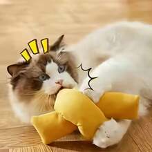 1 pieza Muñeco de peluche con sonido para masticar para mascotas, bola con catnip para rascar para cachorros y gatitos
