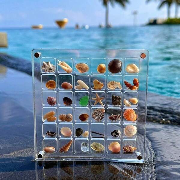 1pc Multi-Style 36-Lattice Acrylic Transparent Seashells Storage Container, Mini Stone Seashore Specimen Display Collection Insect Collection Box.
