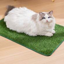 1pc Artificial Grass Dog Potty Mat, Outdoor Pet Toilet, Easy To Clean, Odor-Proof, Indoor & Outdoor Pet Training