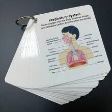 Anatomical System Flashcards - Comprehensive Medical & Nursing Study Guide, Includes Illustrations Of Skeletal, Muscular, Digestive, Reproductive, Respiratory And Circulatory Systems - Ideal Gift For Students, Prompt Cards, Study Flash Cards,School Supplies,Back To School