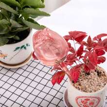 1pc/2pcs Tulip Shaped Plant Waterer, PVC Material Durable Scratch-Resistant Simple Automatic Plant Watering Device