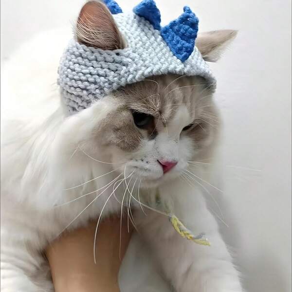 Handmade Dog Outfit,Purple Dinosaur Cat Costume,Cute Cat Birthday Hat,Dog Birthday Hat With Adjustable Cord,Outdoor,Holiday, Knitted Dog Clothes For Small Dogs
