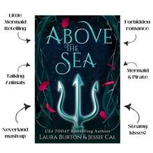 Fairy Tales Reimagined Collector's Edition Bundle - Signed By The Author Book Lover Book Series - Red Arrows - View 3