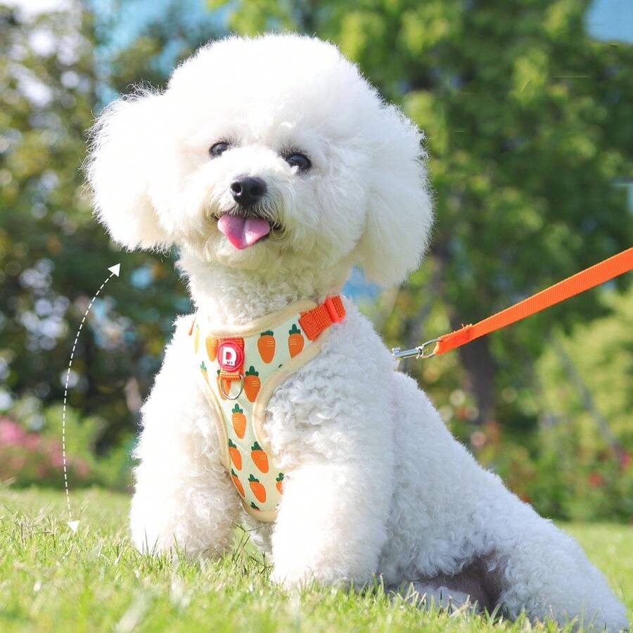 1 套全新水果印花狗绳，舒适可调节狗背带，高品质遛狗牵引绳