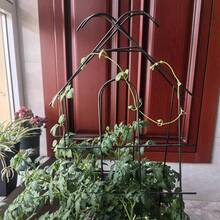 2/4 Packs Metal Garden Treills Durable Indoor Climbing Plants Trellis Sturdy Houseplant Support For Growing Flower Potted Plant Vines Fruits Home Outdoor - Black - View 9