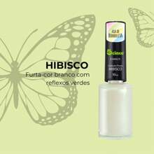 Kit 4 Esmalte Coleção Asa de Borboleta Furta Cor 5Cinco 10ml Efeito Borboleta