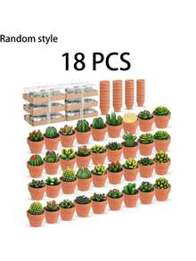 6/12/18件多肉植物蜡烛装饰,独特的茶蜡烛,手工淋浴蜡烛,装饰性植物蜡烛,带迷你陶土烛台,婚礼 - 彩色 - 查看 18