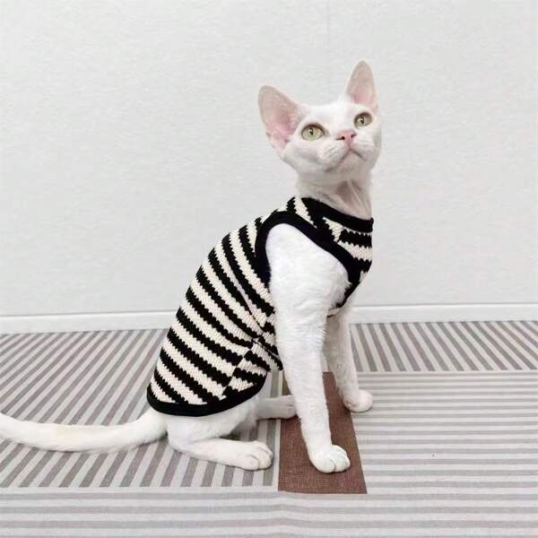 Ropa alemana de gato sin pelo de esfinge: suéter retro, chaleco sin mangas elástico, corta pata, diseño de primavera otoño/invierno con estilo de novio