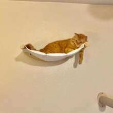 1/2 piezas Hamaca moderna para gatos, percha de pared para gatos para dormir, trepar y descansar, adecuada para gatos adultos o gatitos