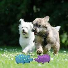 1 Spotted Squeak Pig Dog Bite Toy - Interactive Gollum Sound, Blue Purple Wave Dot Lead Money Designed For Tooth Cleaning, Suitable For All Dog Sizes (Small/Medium/Large), Pet Toys, Dog Toys, No TV Watching At Home At All, Because Dogs Have Shows