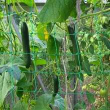 1 pieza Enrejado para plantas trepadoras de gran tamaño, estructura de soporte para escalar de rejilla verde, adecuado para el cultivo de uvas, pepinos, campanillas en el jardín o invernadero del hogar, primavera/verano
