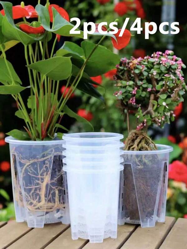 Thickened Cymbidium Orchid Specific Root Controlling Pot, Breathable Orchid Cup Planter, Stone Orchid Seedling Transparent Planter