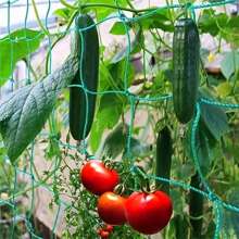 1 pieza Enrejado para plantas trepadoras de gran tamaño, estructura de soporte para escalar de rejilla verde, adecuado para el cultivo de uvas, pepinos, campanillas en el jardín o invernadero del hogar, primavera/verano