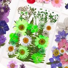 35pcs Dried Pressed Flowers For Resin Molds, Real Pressed Flowers Dry Leaves Kit For Art Crafts Resin Jewelry Making Scrapbook Supplies Card Making Soap Candle DIY Nails Decor| Valentine Day's Gift| Couple Gift| Christmas Gift Xmas Gift| Halloween Gift Decor