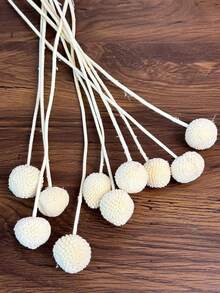 10Pcs/20Pcs Natural Dried Flowers Craspedia Billy Balls Flowers Billy Buttons Floral Bouquet For Flower Arrangements Wedding Home Tall Vase Decor Yellow - White - View 5