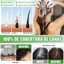 1 Piece Coloring Shampoo, Natural Hair Dye Shampoo, Colors Hair In Minutes, 500ml, Gentle And No Irritation To Skin, Suitable For Both Men And Women