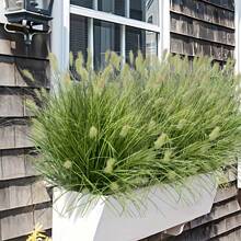 6 Bunches Of Realistic Artificial Onion Grass Tassels, Plastic Fake Ground Plants, Suitable For Outdoor Yard, Hotel, Garden Decor, Window Frame Decor, Indoor & Outdoor Home Decor, Applicable For Spring/Summer, Anniversary, Easter, Mother's Day, Wedding, Gifting - Planter Not Included