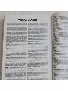 Bíblia Sagrada | NTLH | Raiz de Davi | Brochura - Livro único - Visão 5