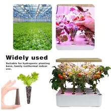 48/96片装超级水培介质，植物生长海绵，即插即用，简单快捷，清洁卫生，生长速度快 - 咖啡色 - 查看 3