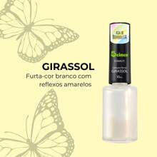 Kit 4 Esmalte Coleção Asa de Borboleta Furta Cor 5Cinco 10ml Efeito Borboleta